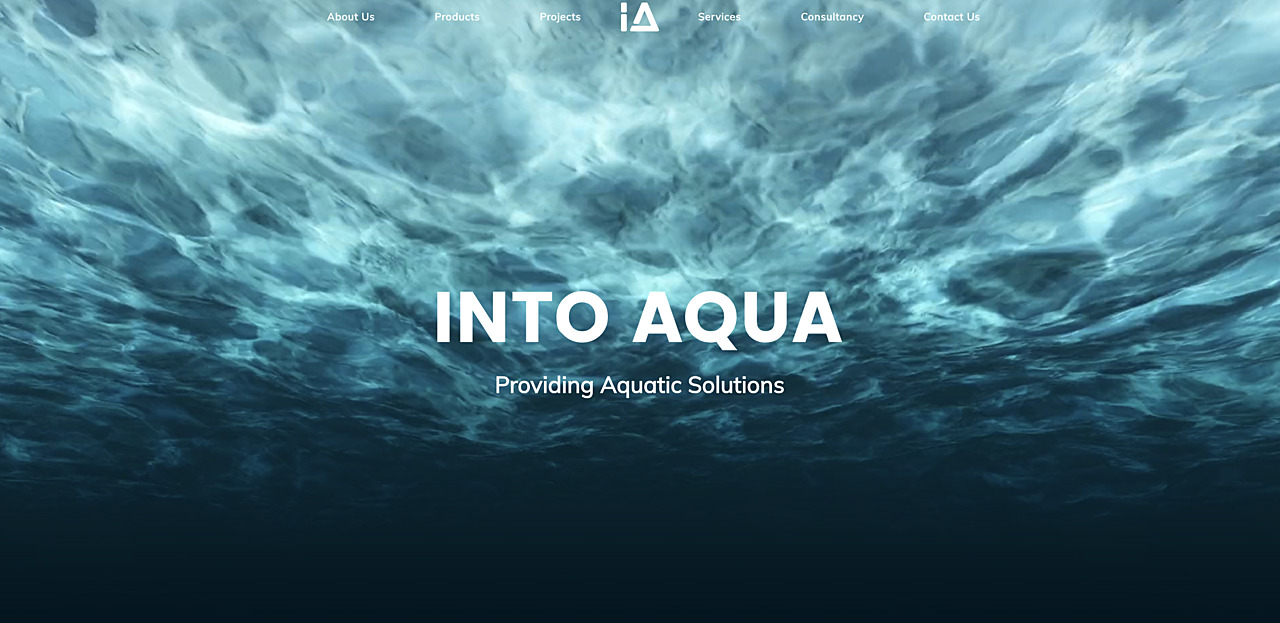 Into Aqua website